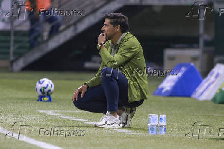 Match between Palmeiras and Mirassol for the Brazilian football championship