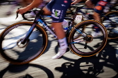 Scheldeprijs one-day cycling race