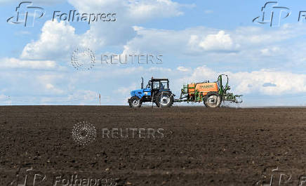 Farmers sow sunflower in Rostov region