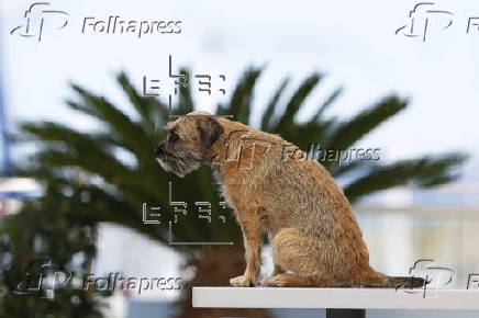 Directors of Short Films in Competition - Photocall - 78th Cannes Film Festival