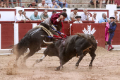 Toros en Zamora