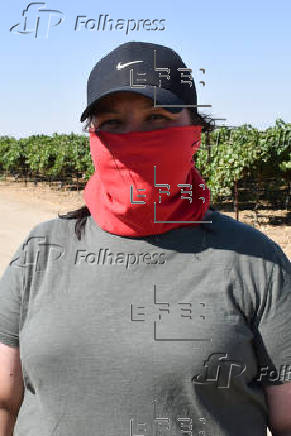 El miedo que se cosecha: jornaleros en California bajo las redadas migratorias