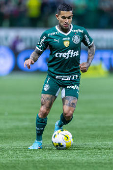 CAMPEONATO BRASILEIRO 2022 - Palmeiras x Santos