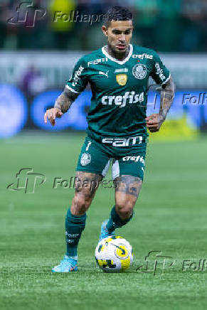 CAMPEONATO BRASILEIRO 2022 - Palmeiras x Santos