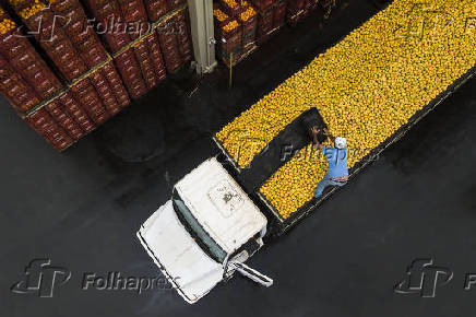 Agronegócio em São Paulo e os efeitos da pandemia do coronavírus