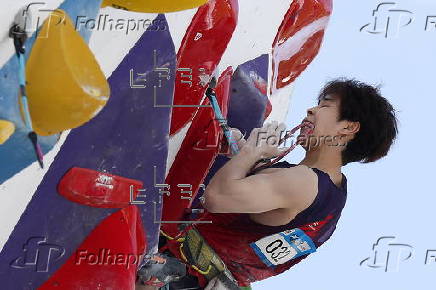 IFSC Climbing World Cup
