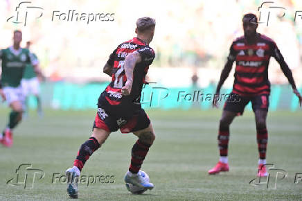 Partida entre PALMEIRAS X FLAMENGO pelo Campeonato Brasileiro