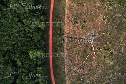 Illegal loggers are key players in carbon credit schemes in Brazil
