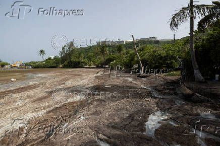 Sargassum seaweed season in Puerto Rico