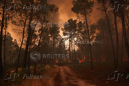 Wildfire in Portugal