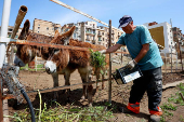 Crowds offer an opportunity for Italy's south