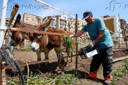 Crowds offer an opportunity for Italy's south
