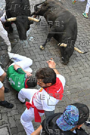 Los toros de La Palmosilla protagonizan este domingo el séptimo encierro de San Fermín