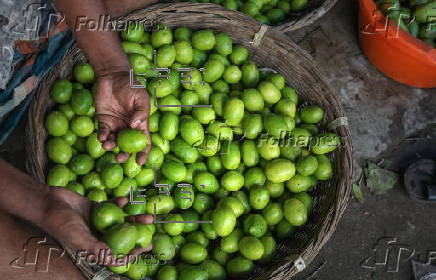 Vegetable prices soar again in Dhaka due to crop damage from rain