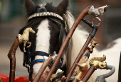 Annual horse fair in Appleby-in-Westmorland