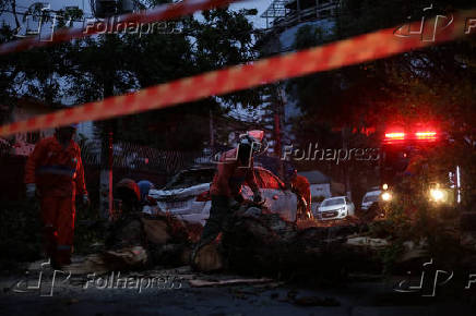 Árvores caídas destroem carros em Perdizes- SP