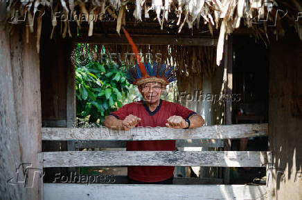 Illegal loggers are key players in carbon credit schemes in Brazil