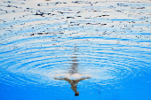World Aquatics Championships