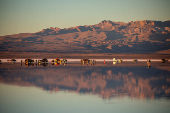 Atardecer en el salar de Uyuni en Bolivia