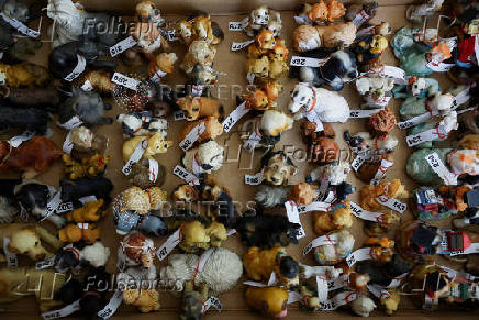 Numbered dog-related figures are seen while Gabarro's relatives and friends count them for the Guinness World Record in Terrassa