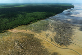 Parque Nacional do Cabo Orange, no AP, durante a maré baixa