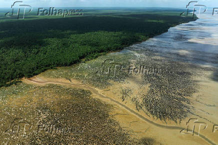 Parque Nacional do Cabo Orange, no AP, durante a maré baixa