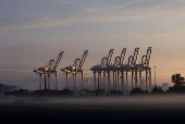 Container cranes at the Port of Savannah