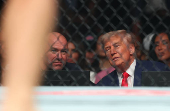 MMA: UFC 316 - Luque vs Holland