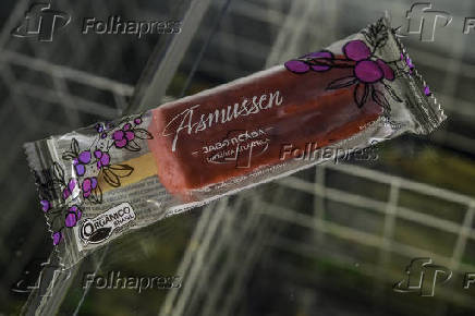 Picolé de frutas naturais da Mata Atlântica, pela Agro Asmussen