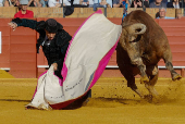 Noveno Festejo de la Feria de Abril 2025