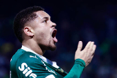 BRASILEIRO A 2025, PALMEIRAS X SAO PAULO