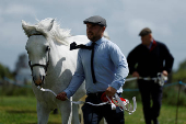 Agricultural show, in Athenry