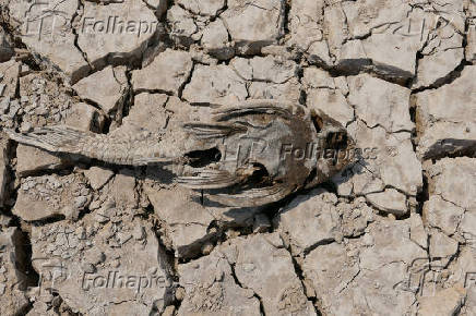 Especial - seca no Amazonas