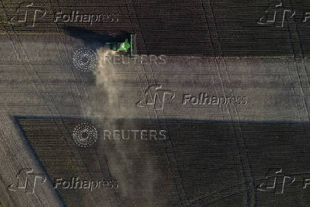 Soybean harvest in Rio Grande do Sul state, Brazil