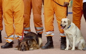 Nationwide civil defence drills conducted in major cities across India
