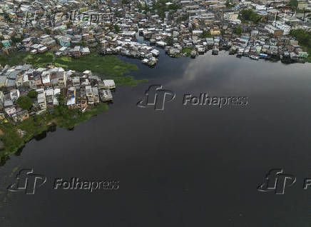 Cheia dos rios - Regiao do Rio Negro