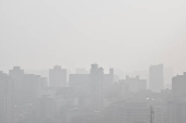 Climatempo em São Paulo nevoeiro