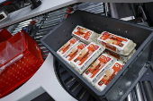Picnic supermarket opens first automated grocery fulfilment centre in Oberhausen