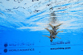 World Aquatics Championships