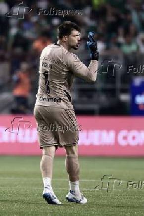 BRASILEIRO A 2025, PALMEIRAS X GREMIO
