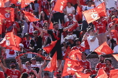 Portuguese Cup Final - Benfica vs Sporting
