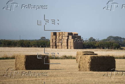 UK farms face extremely dry conditions after higher-than-average temperatures