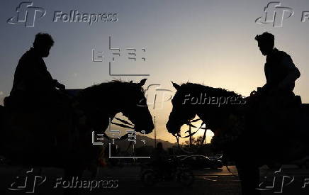 Horse riding in Sana'a