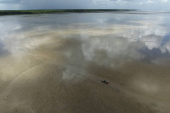 Parque Nacional do Cabo Orange, no Amapá
