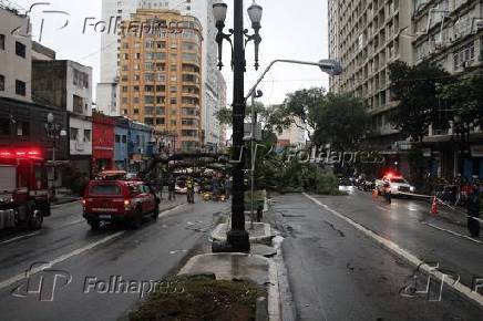 Queda de árvore mata taxista no centro de São Paulo