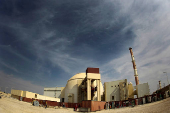 FILE PHOTO: General view of Bushehr nuclear power plant, 1,200 km south of Tehran