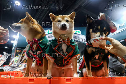 Pet Expo Thailand in Bangkok