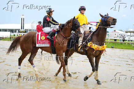 Horse Racing: Black-Eyed Susan