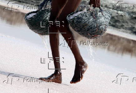 Sea salt harvesting in Karachi