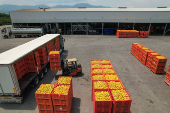 Trump tariffs worry Greek peach producers
